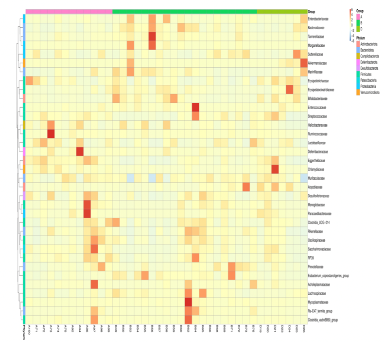 A Beginner’s Guide to 16S/18S/ITS Amplicon Metagenomic Sequencing ...